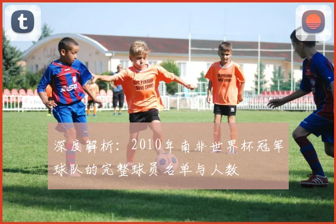 深度解析：2010年南非世界杯冠军球队的完整球员名单与人数