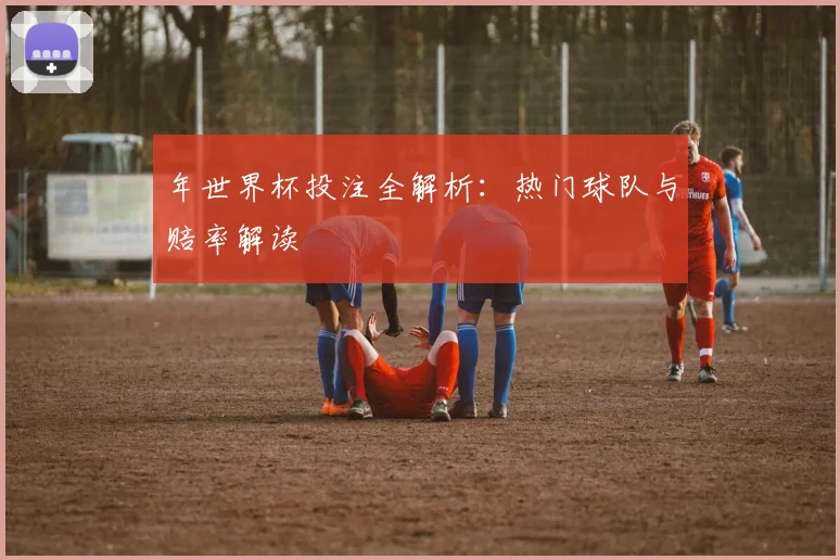 年世界杯投注全解析：热门球队与赔率解读