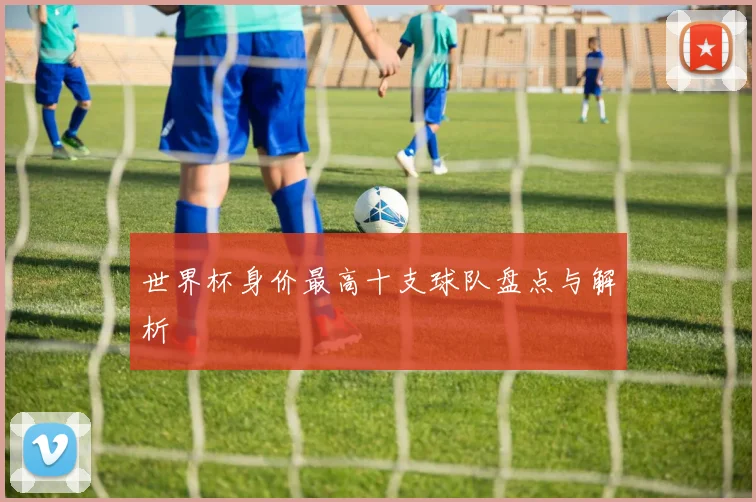 世界杯身价最高十支球队盘点与解析