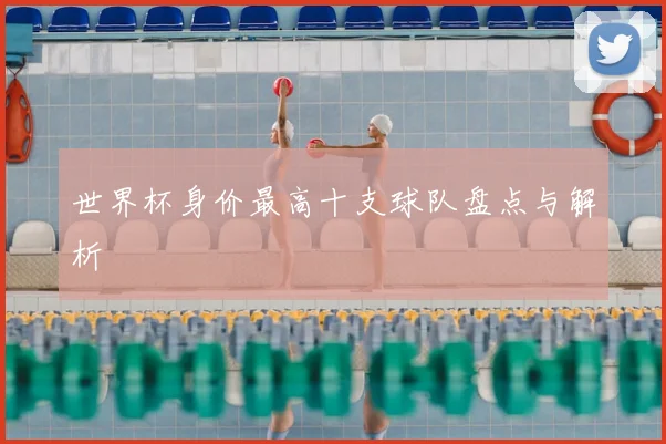 世界杯身价最高十支球队盘点与解析