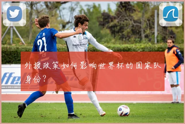 外援政策如何影响世界杯的国家队身份？
