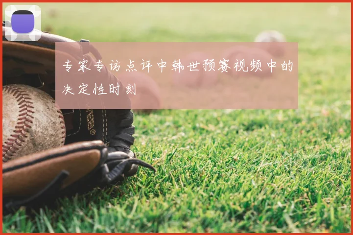 专家专访点评中韩世预赛视频中的决定性时刻